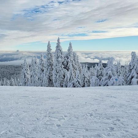 Chata Jeleni Drevenice S Vlastni Virivkou Horni Halze Extérieur photo