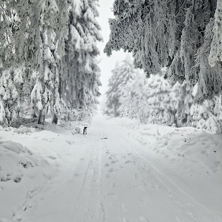 Chata Jeleni Drevenice S Vlastni Virivkou Horni Halze Extérieur photo