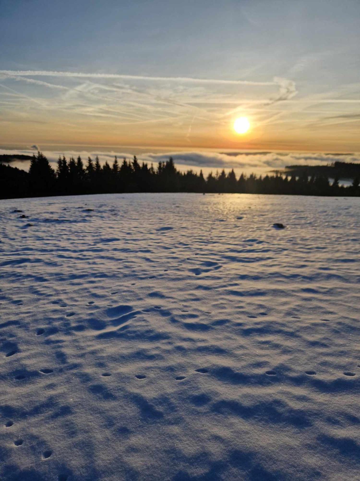Chata Jeleni Drevenice S Vlastni Virivkou Horni Halze Extérieur photo