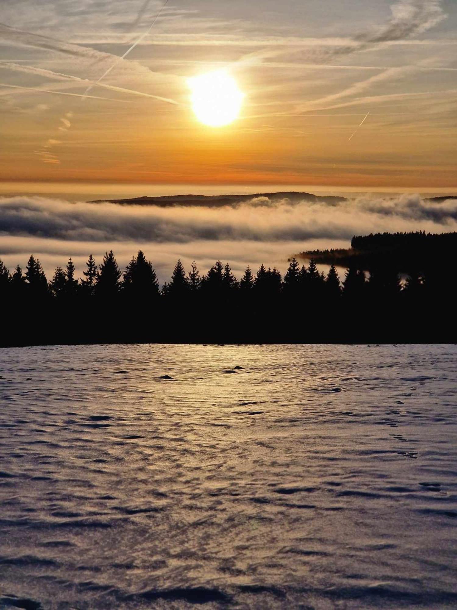 Chata Jeleni Drevenice S Vlastni Virivkou Horni Halze Extérieur photo