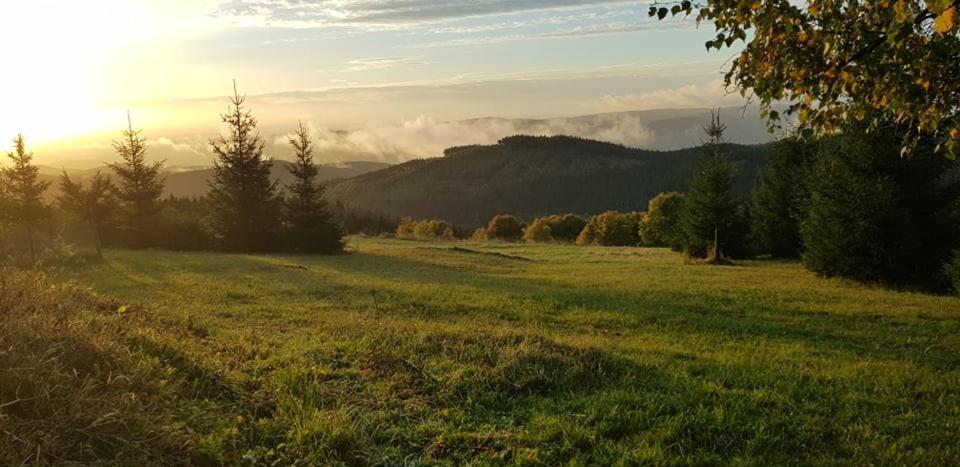 Chata Jeleni Drevenice S Vlastni Virivkou Horni Halze Extérieur photo