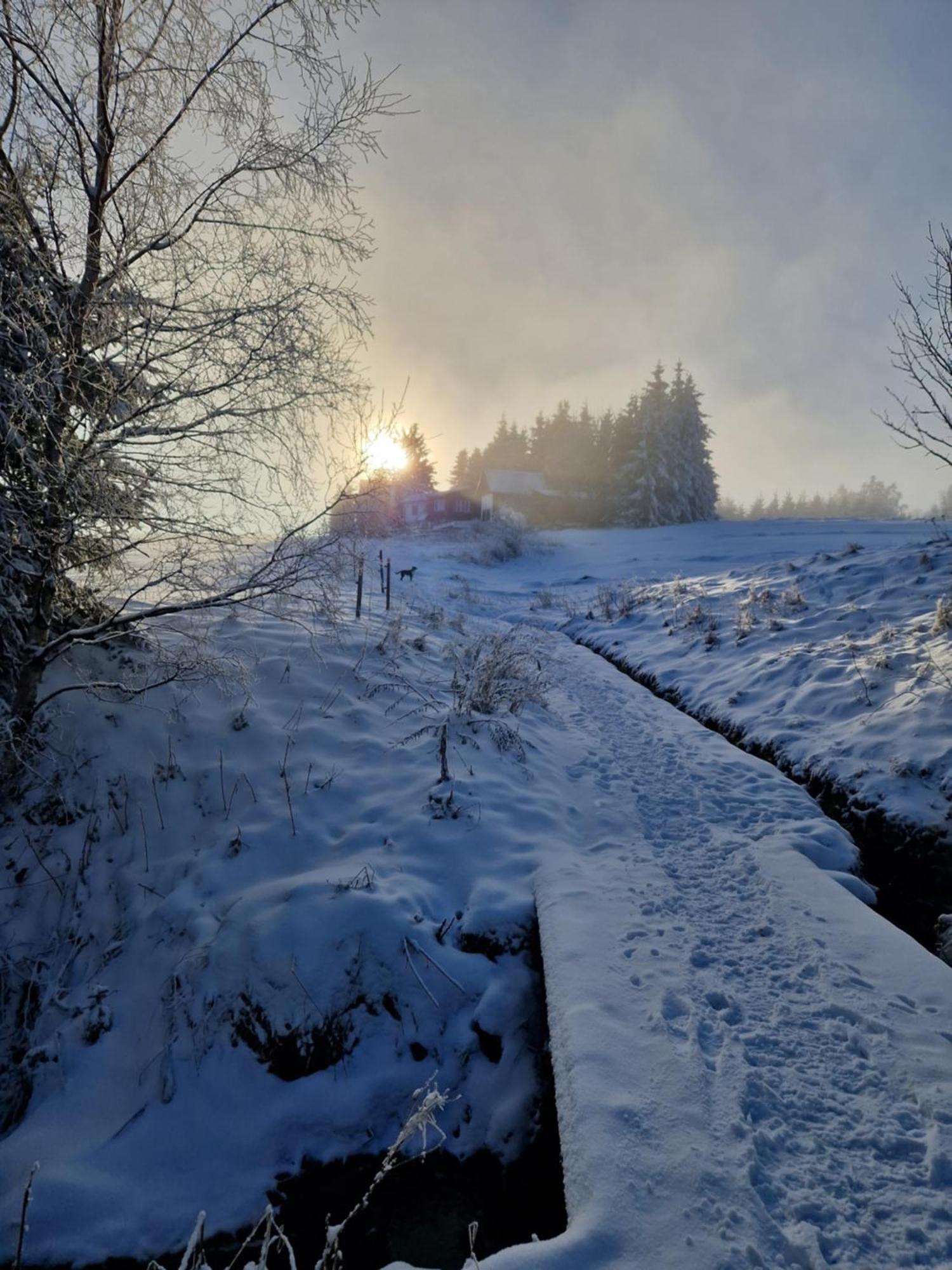 Chata Jeleni Drevenice S Vlastni Virivkou Horni Halze Extérieur photo